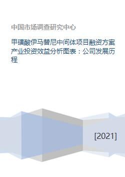 甲磺酸伊馬替尼中間體項目融資方案產業投資效益分析圖表 公司發展歷程